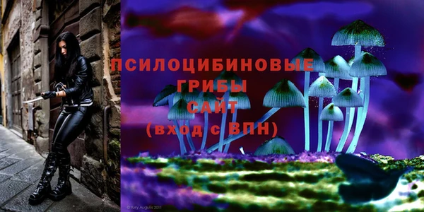 мет Инта