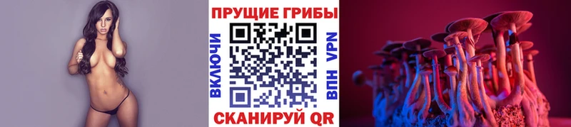 Псилоцибиновые грибы Psilocybine cubensis  Николаевск-на-Амуре 