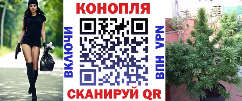 гидра ссылки  Николаевск-на-Амуре  МАРИХУАНА AK-47 